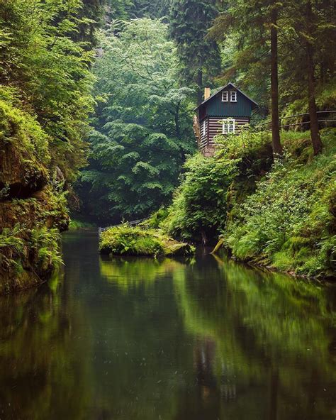 Green Forest Kingdom In The Heart Of Nature 🍃 Bohemian Switzerland