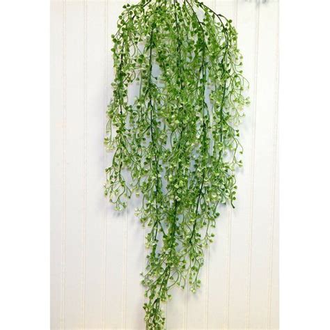 Hanging plants, vines & garlands. Bush Hanging Plant | Hanging plants indoor, Hanging plants ...