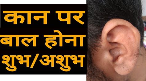 कान पर बाल शुभ या अशुभ Good Hair On Ear Rashifal Horoscope Dr