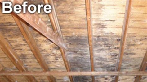 Attic Mold Removal By Moldcode™ Cleaning Youtube