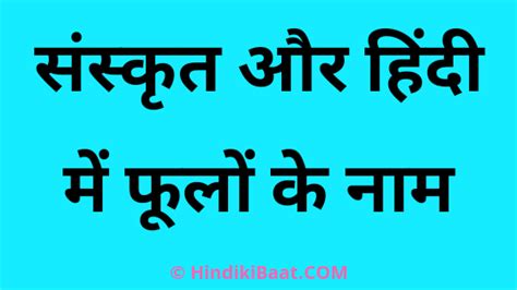 Do you want to delve even deeper into hindi grammar and culture? 25 Flowers name in Sanskrit with hindi meaning - Hindi Ki Baat