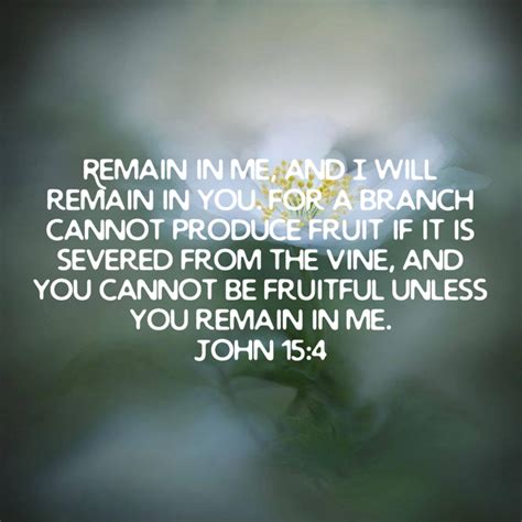 John 15 4 Remain In Me And I Will Remain In You For A Branch Cannot