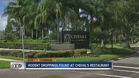 Cheval Golf Temporarily Shut Down For Rodents In Kitchen