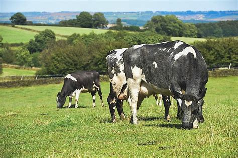 It covers around 30.2 million square kilometers. Biggest Farms In The World - WorldAtlas.com