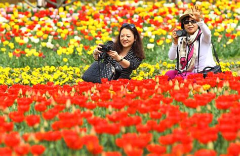 Floral Fun In Tulip Festivalchina Photoscn