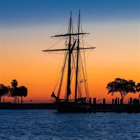 Things To Do In St Pete Florida