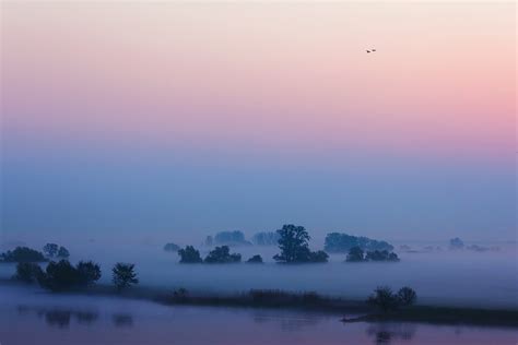 Morning River Mist Sky Fog Mood Lake River Landscape Birds
