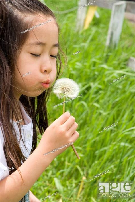Girl Blowing Dandelion Seeds Stock Photo Picture And Royalty Free