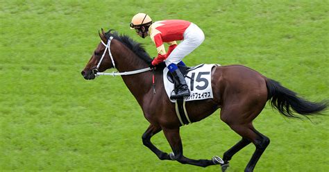 ジパング倶楽部 ジパング倶楽部加入初年度3回まで 大人の休日倶楽部ジパング 大人の休日倶楽部ミドル おとなび 四国エンジョイクラブ. オジュウチョウサン 今後は障害に専念 | スタリオン速報