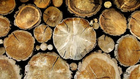 Wood Timber Closeup Wooden Surface Texture Wallpapers
