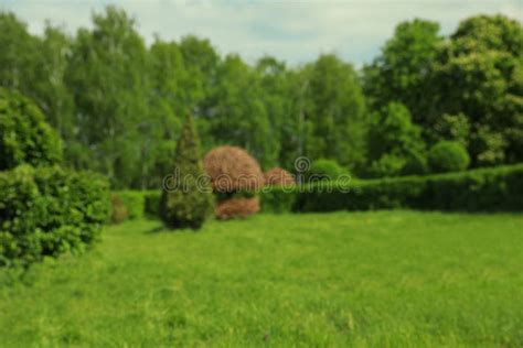 Blurred View Of Beautiful Park With Trees Bushes And Green Grass Stock