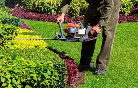 Jardinería Consejos Y Trucos Para Un Jardín Perfecto