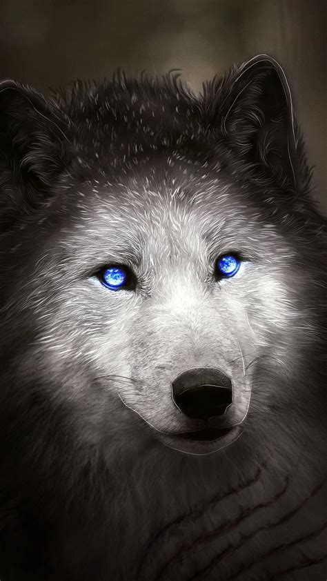 Blue Wolf Eyes Wallpapers Top Free Blue Wolf Eyes Backgrounds