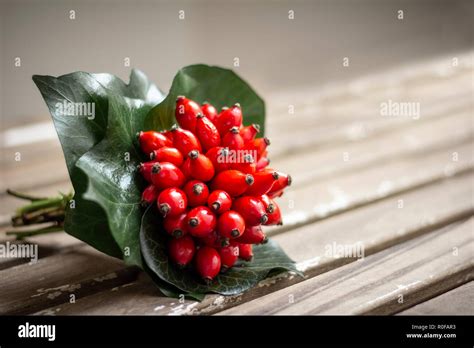 Closeup Berries Hi Res Stock Photography And Images Alamy