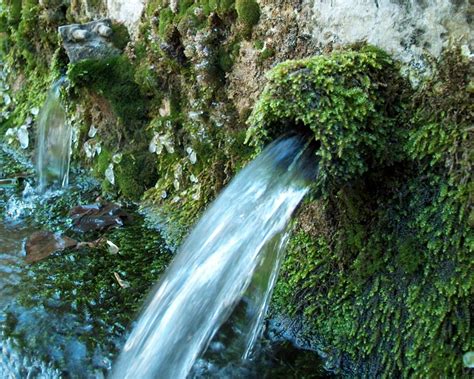 Spring Water1 Free Photo Download Freeimages