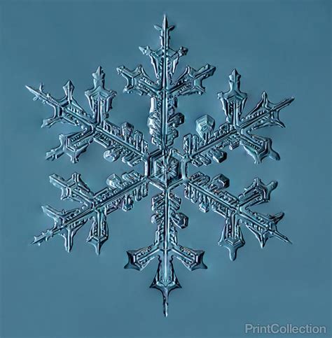 Photographer Takes Gorgeously Detailed Snowflake Photos With A Diy
