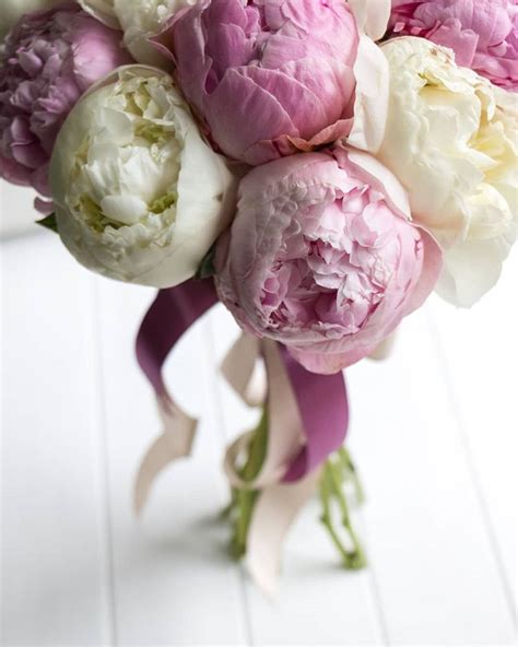 Sending flowers that are common and in season is the cheapest way to send flowers. The Flower Shop by Danielle | Send flowers, Flower ...
