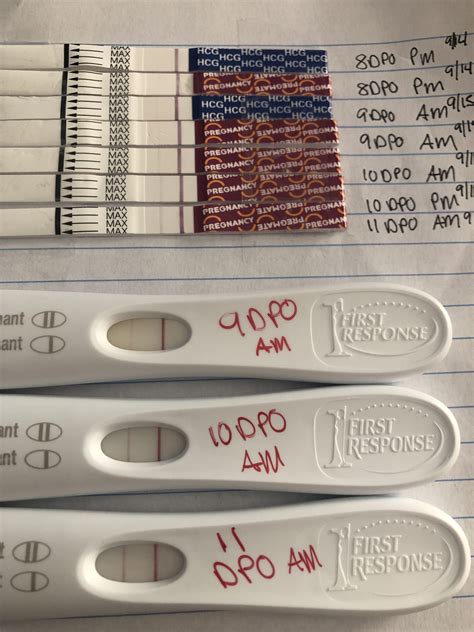 CD 22, 11 DPO, FRER and Pregmate. Cramping on and off the past couple