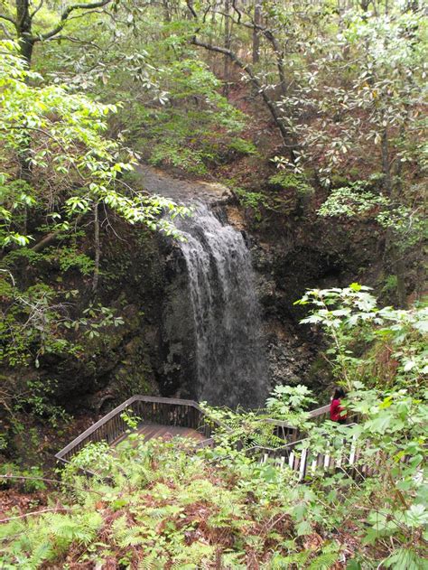 The Tallest Waterfall In Florida Is In Falling Waters State Park