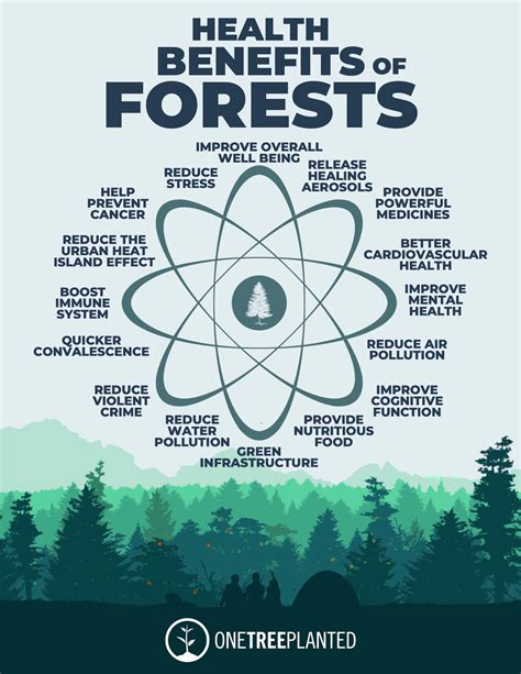 18 Health Benefits Of Trees And Forests One Tree Planted