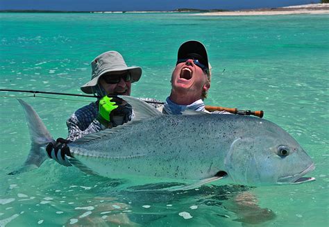 Interesting Facts About The Giant Trevally Gt Alphonse Fishing Co