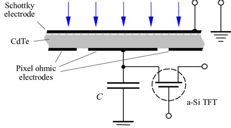 A Schematic Cross Section Of The Operation Of A Flat Panel X Ray Image