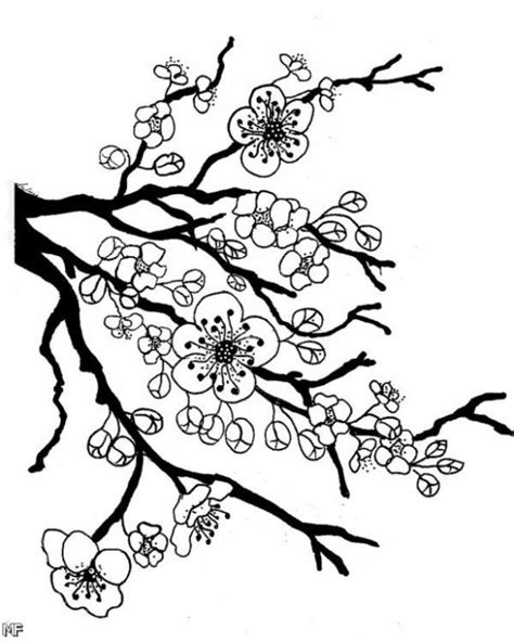 First set your fill color to black and no stroke. Japanese Cherry Blossom Flower Coloring Page - Letscolorit ...