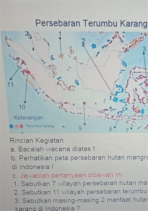 Peta Persebaran Hutan Di Indonesia Peta Persebaran Hutan Di Indonesia