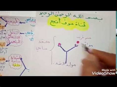 تأثير المواد الكيميائية في التنسيق الوظيفي العصبي الجِهاز العصبي. مراجعة عامة حول التنسيق الوظيفي في العضوية جزء 2 - YouTube