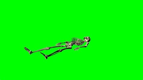 Skeleton Various Poses Green Screen Effect — Stock Video