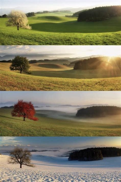 Seasons Change Nature Photography Scenery Landscape