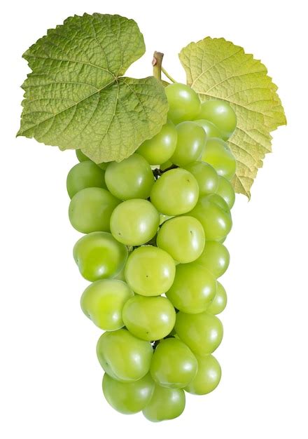 Premium Photo Green Grape With Leaves Isolated On White Shine Muscat