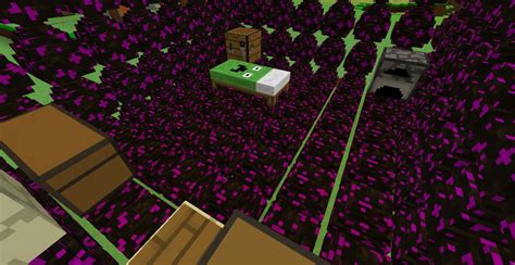 Hatching the dragon egg to spawn a baby ender dragon in minecraft for pocket edition, playstation, xbox, pc and. Dragon Egg House Minecraft Project