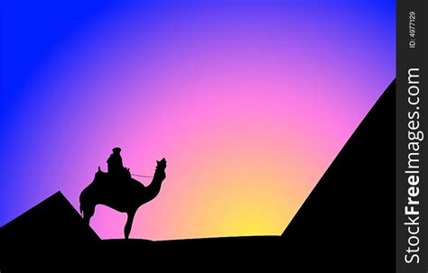 Person On A Camel Free Stock Images Photos