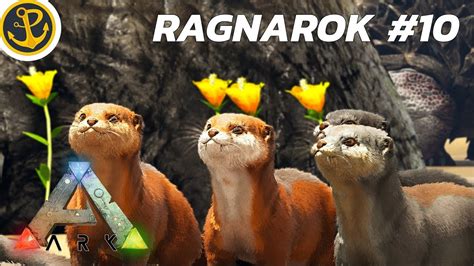 If you're on ragnarok, go to the green obelisk, follow the river down to where it splits. ARK: Peach Plays Ragnarok - TAMING OTTERS & OTTERLY CUTE ...