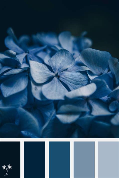 Beautiful Blue Beauties Color Palette Color Palette Inspiration For