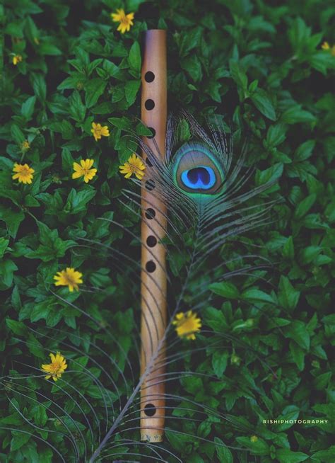 Peacock Feather Black Wallpaper Lord Krishna Images Hd He Is Considered The Inventor Of Lord