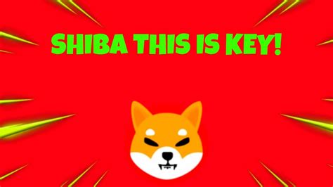 HOLY SHIB Elon Musk Just Bought Shiba Inu Coin And Price Will Go