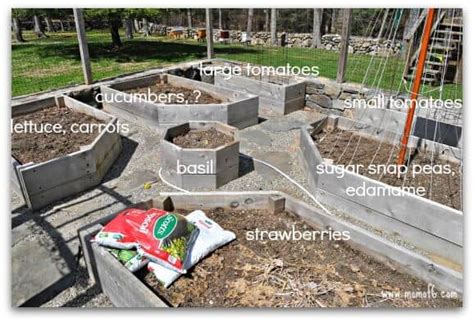 While the diagram is designed to fit in an 8′ x 8′ area, the 14 plants can be arranged on a corner or a home or in dozens of … Planning the Backyard Vegetable Garden - MomOf6