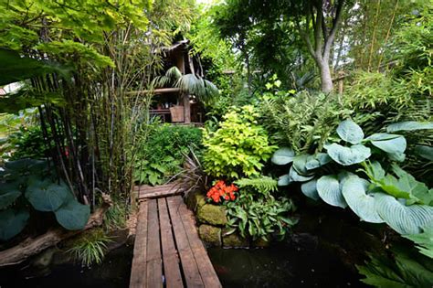 Bamboo garden border fence edging | diy garden. 14 Cold Hardy Tropical Plants to Create a Tropical Garden ...