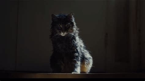 Pet Sematary 2019 Official Trailer 2 Hd Paramount Pictures Youtube