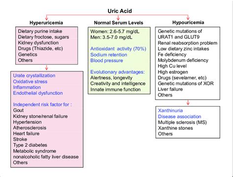 Human Serum Uric Acid Sua Homeostasis And Abnormal Changes Normal