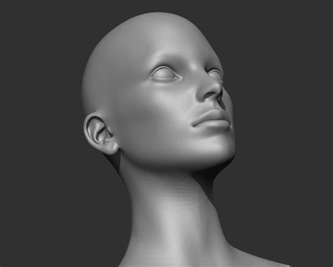 female head realistic base mesh 3d model 3d model cgtrader