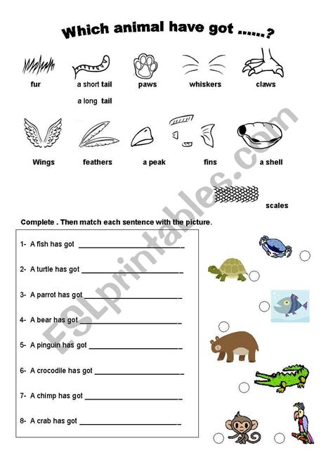 Animal body parts - ESL worksheet by LeandraG