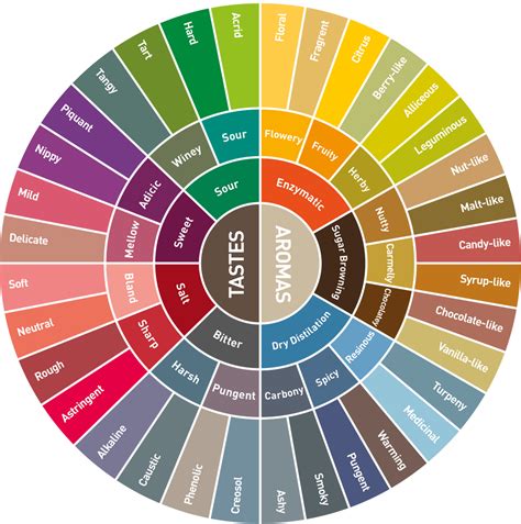 Office Coffee Flavor Profiles And Pairings
