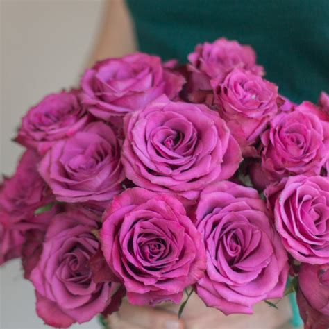 Purple Blueberry Roses Bulk Fresh Diy Wedding Flowers Flower Moxie