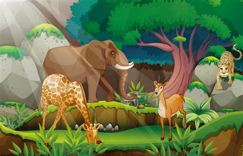 Download 90 Background Animasi Hutan Gratis Terbaik - Download Background