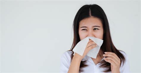 Your Complete Guide To Allergic Rhinitis Doctify