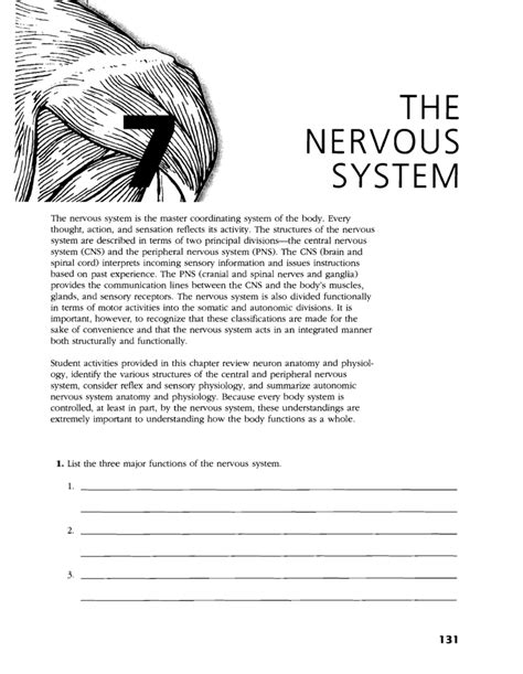 41 Chapter 7 The Nervous System Answer Key Johnnietaome