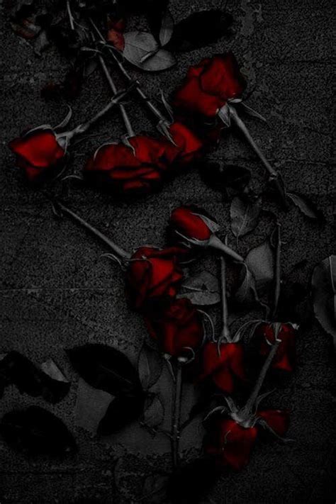Red Wallpaper Wallpaper Backgrounds Cute Wallpapers Black Aesthetic